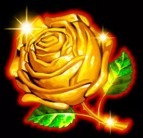 Золотая роза